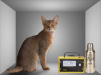 /album/ousesaber/pulo-do-cat-png/